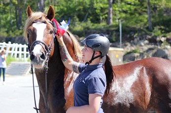 Sandra og Crusader til AEG !